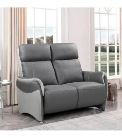 Mobilier Pour Maison -Mobilier Pour Maison canape 2 places fixe ou electrique gamme complice c36 1